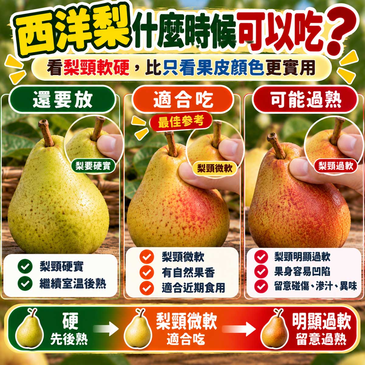 西洋梨還要放適合吃與可能過熟狀態比較