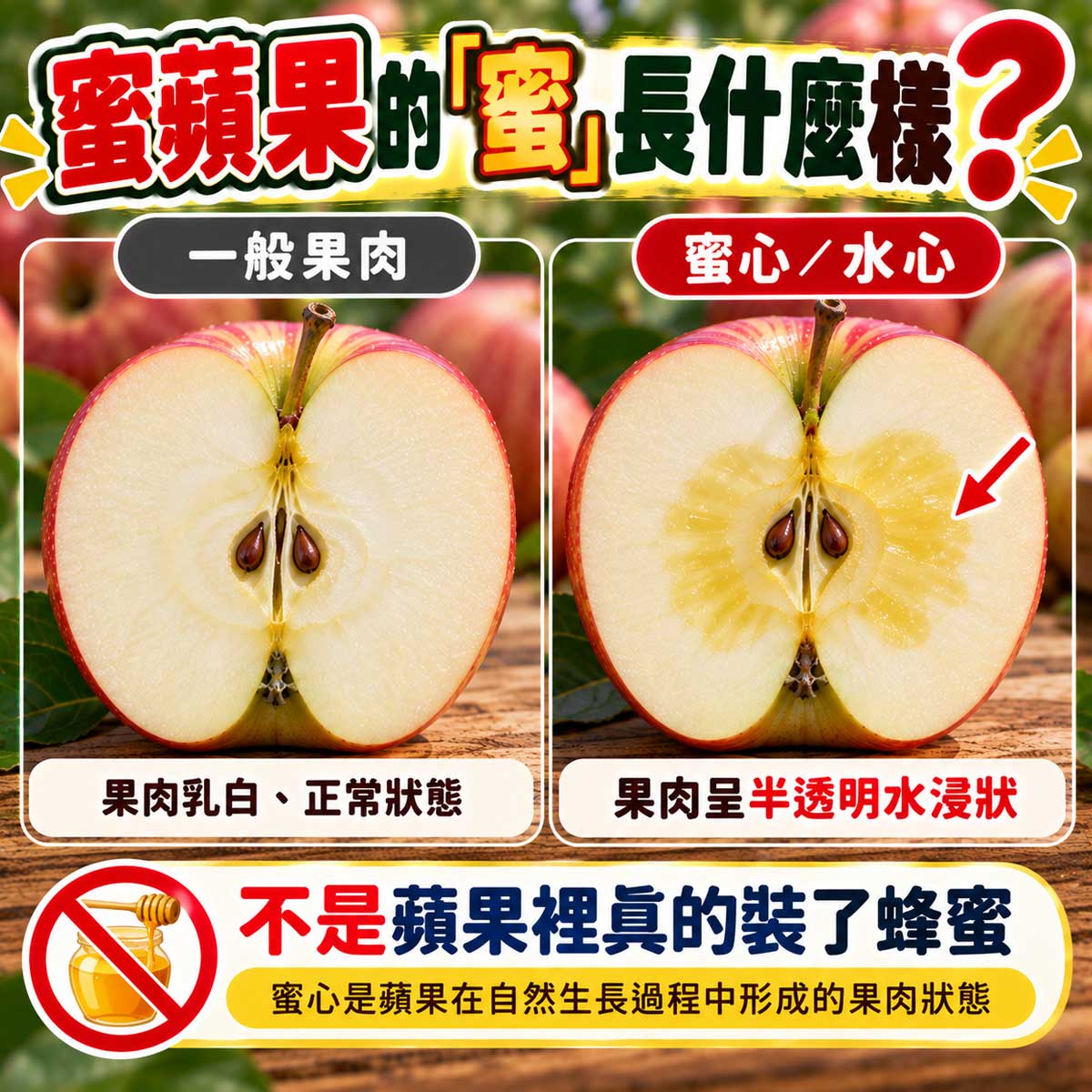蜜蘋果切面蜜腺一般果肉與異常褐變比較