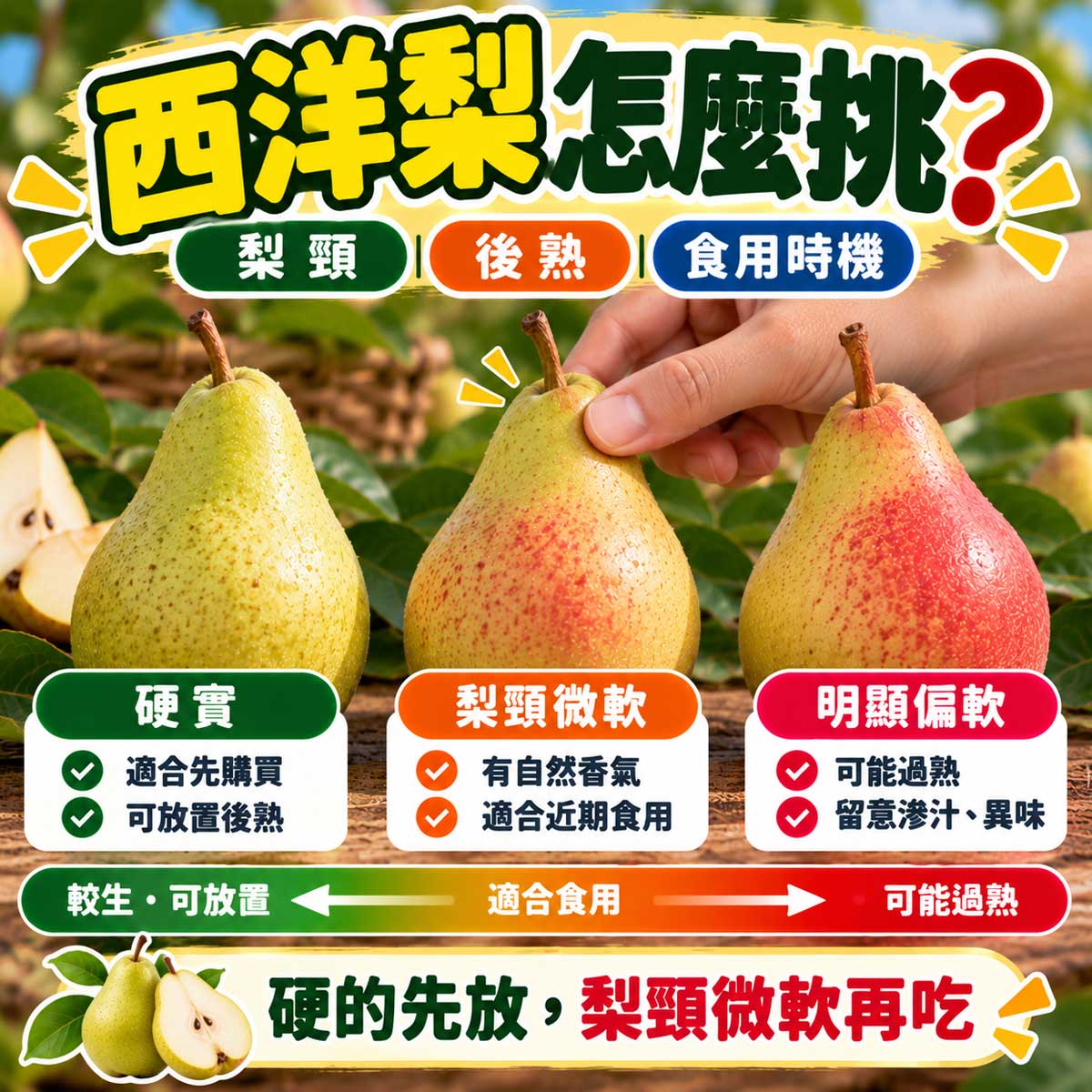 西洋梨果頸軟硬與後熟程度怎麼挑代表圖