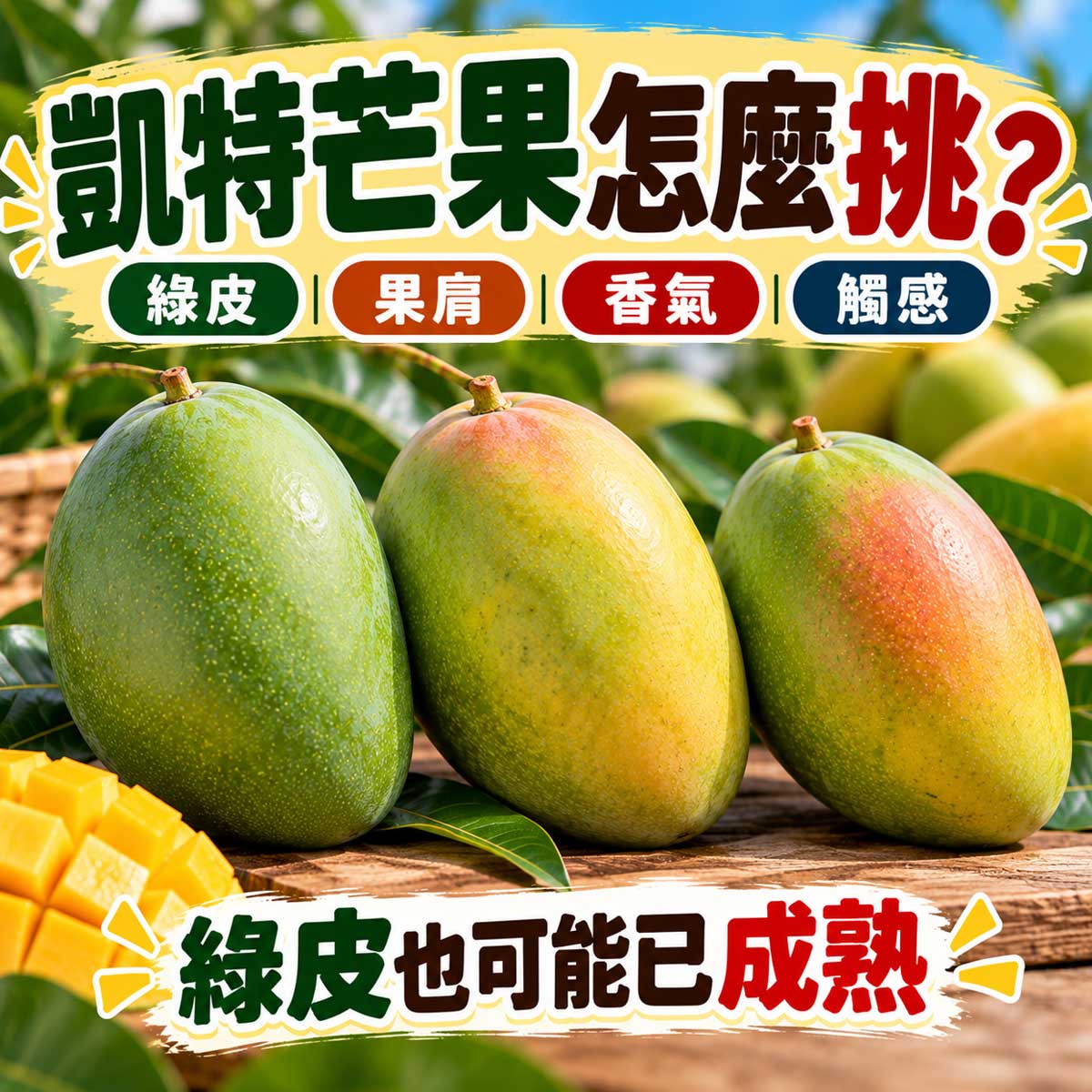 凱特芒果綠皮成熟度怎麼挑代表圖