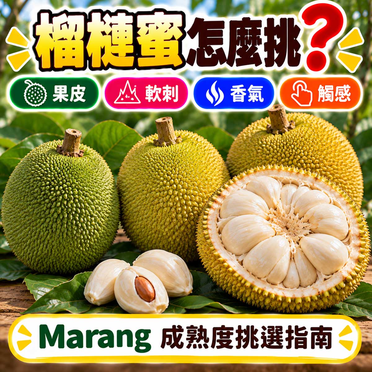榴槤蜜黃綠轉色柔軟細刺香氣觸感與乳白色果肉怎麼挑代表圖
