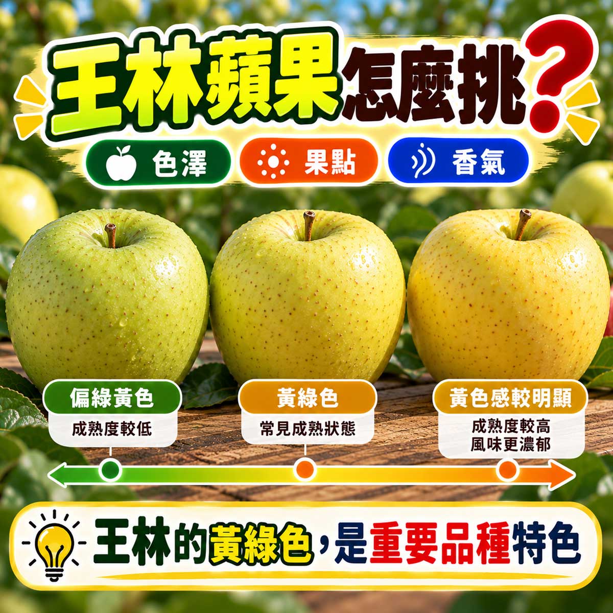 王林蘋果黃綠色澤香氣自然果點與表皮怎麼挑代表圖