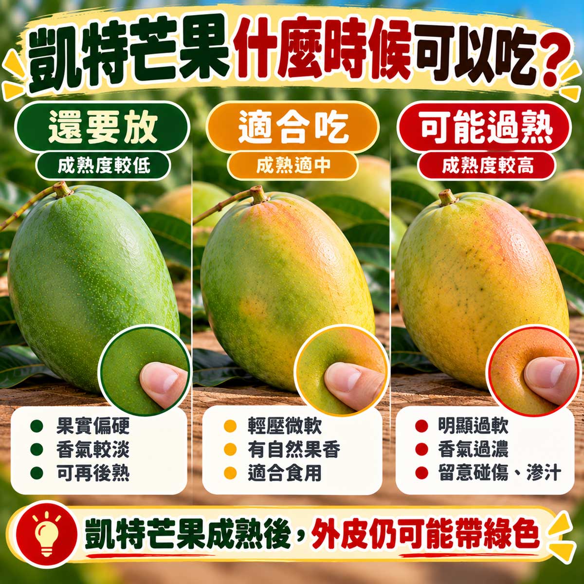凱特芒果還要放適合吃與可能過熟比較