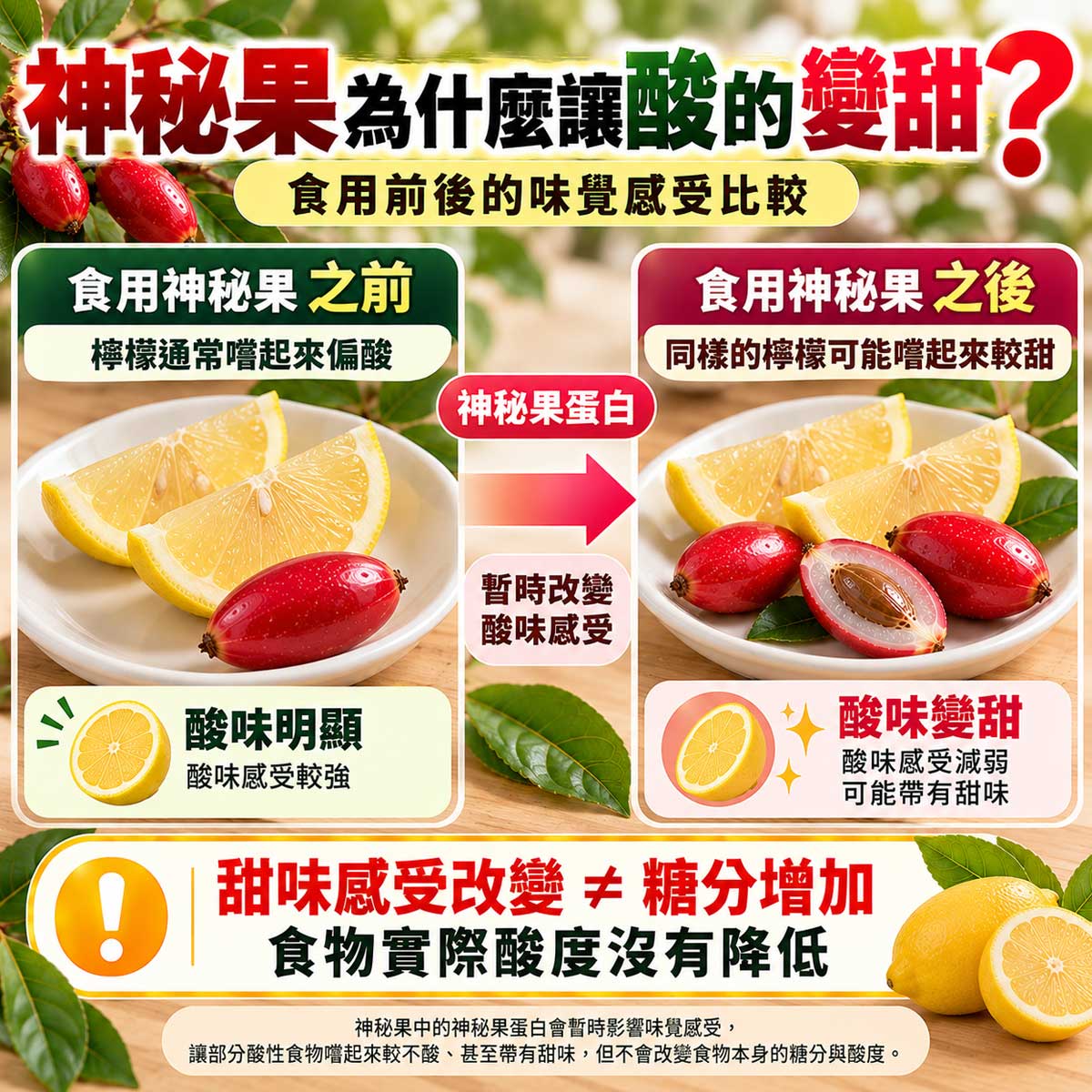 神秘果為什麼讓酸的變甜？食用前後檸檬味覺比較，糖分與酸度不變