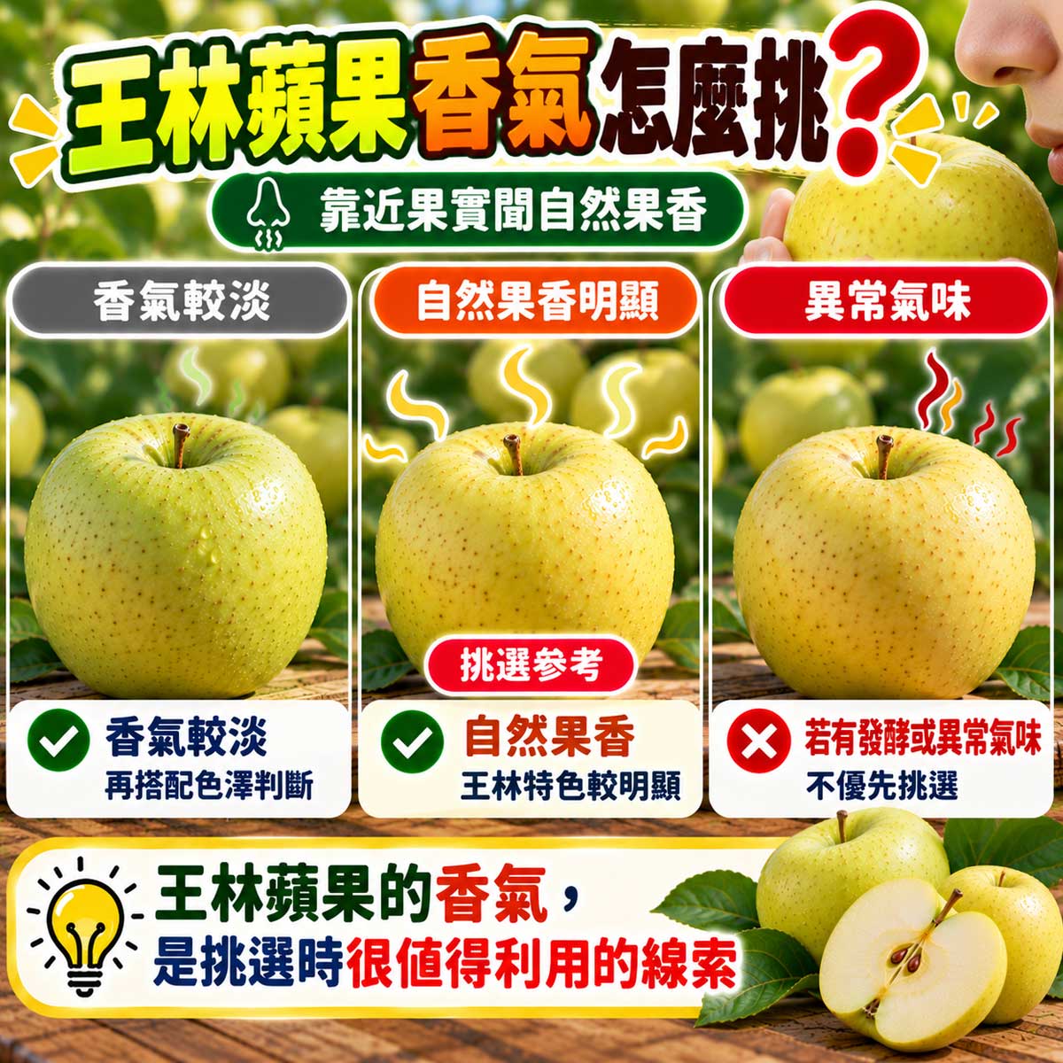 王林蘋果香氣淡自然清甜香與發酵異味挑選比較