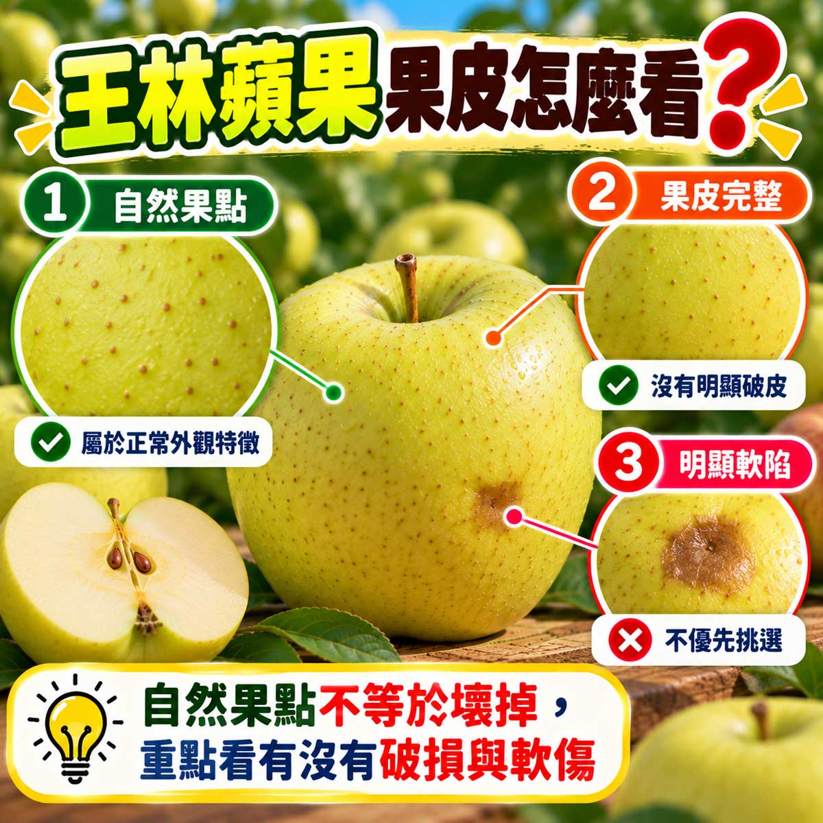 王林蘋果自然果點完整果皮與碰傷軟陷比較