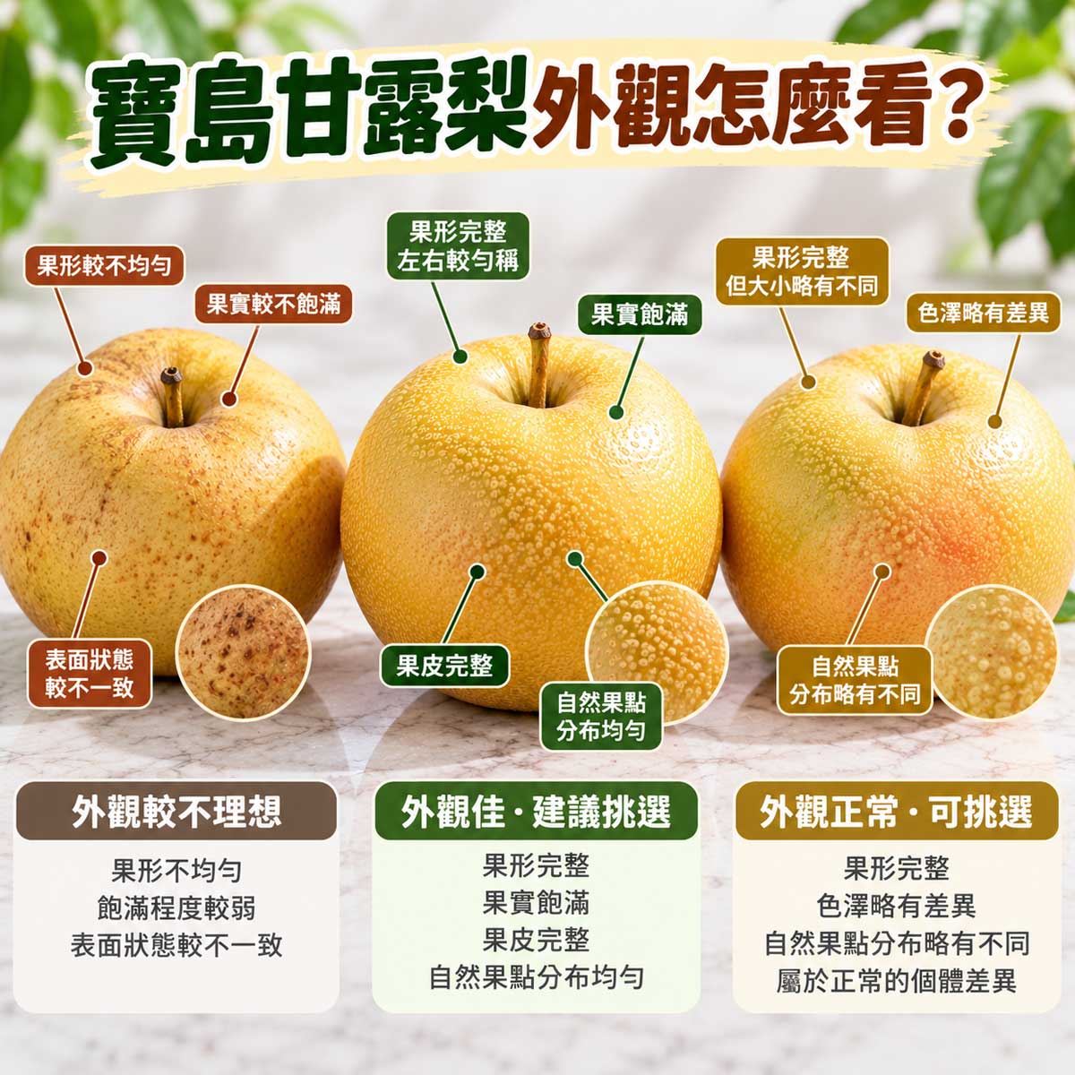寶島甘露梨外觀果形果皮挑選重點