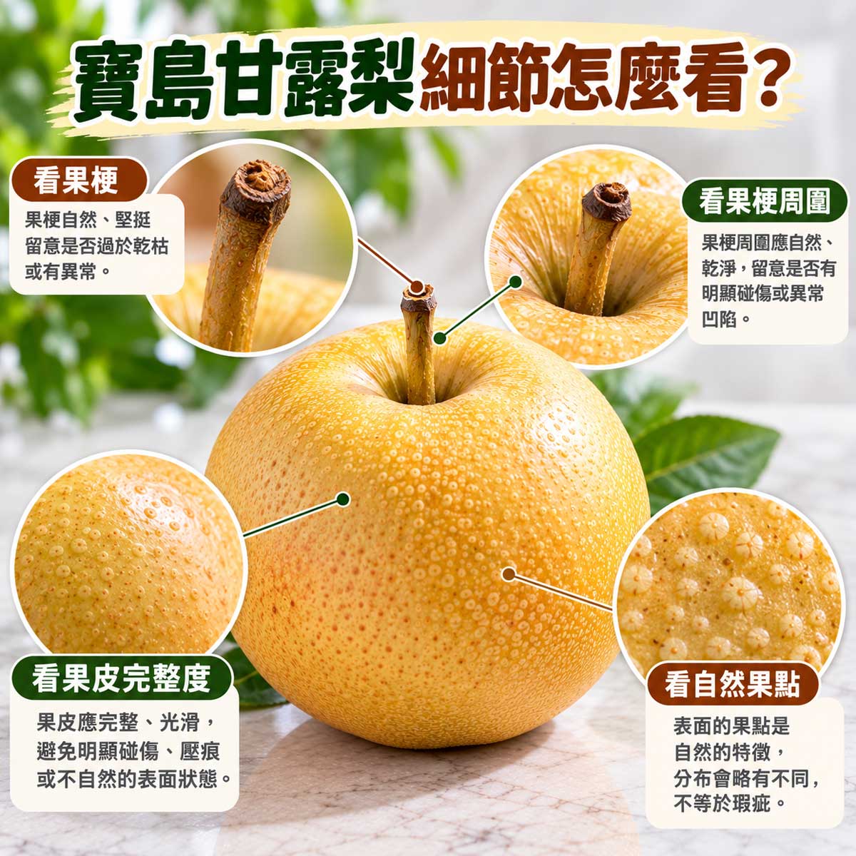 寶島甘露梨重量蒂頭與硬度挑選細節