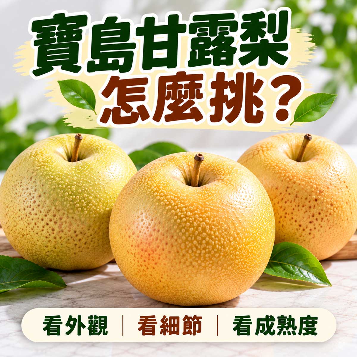 寶島甘露梨怎麼挑代表圖