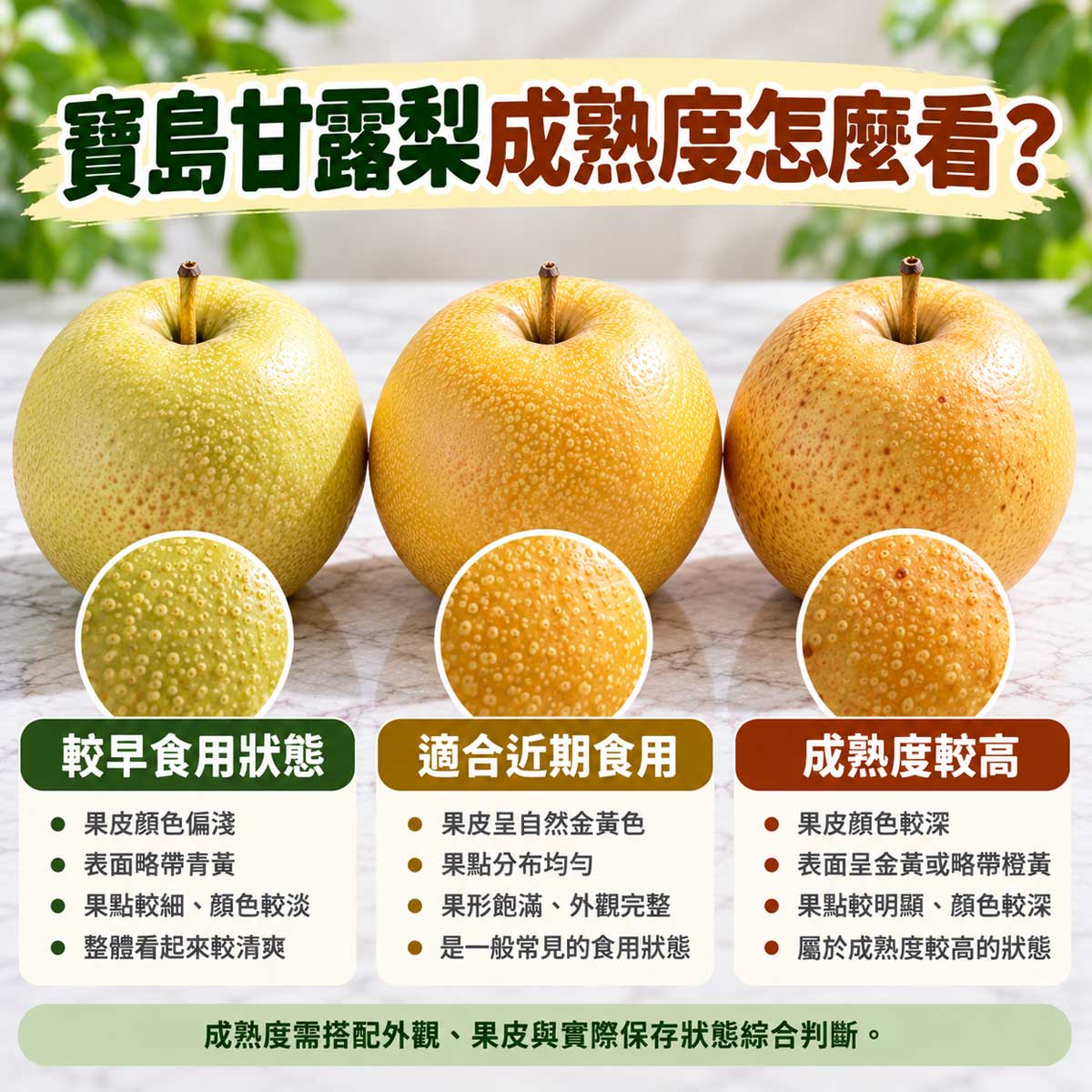 寶島甘露梨成熟度與食用時間比較