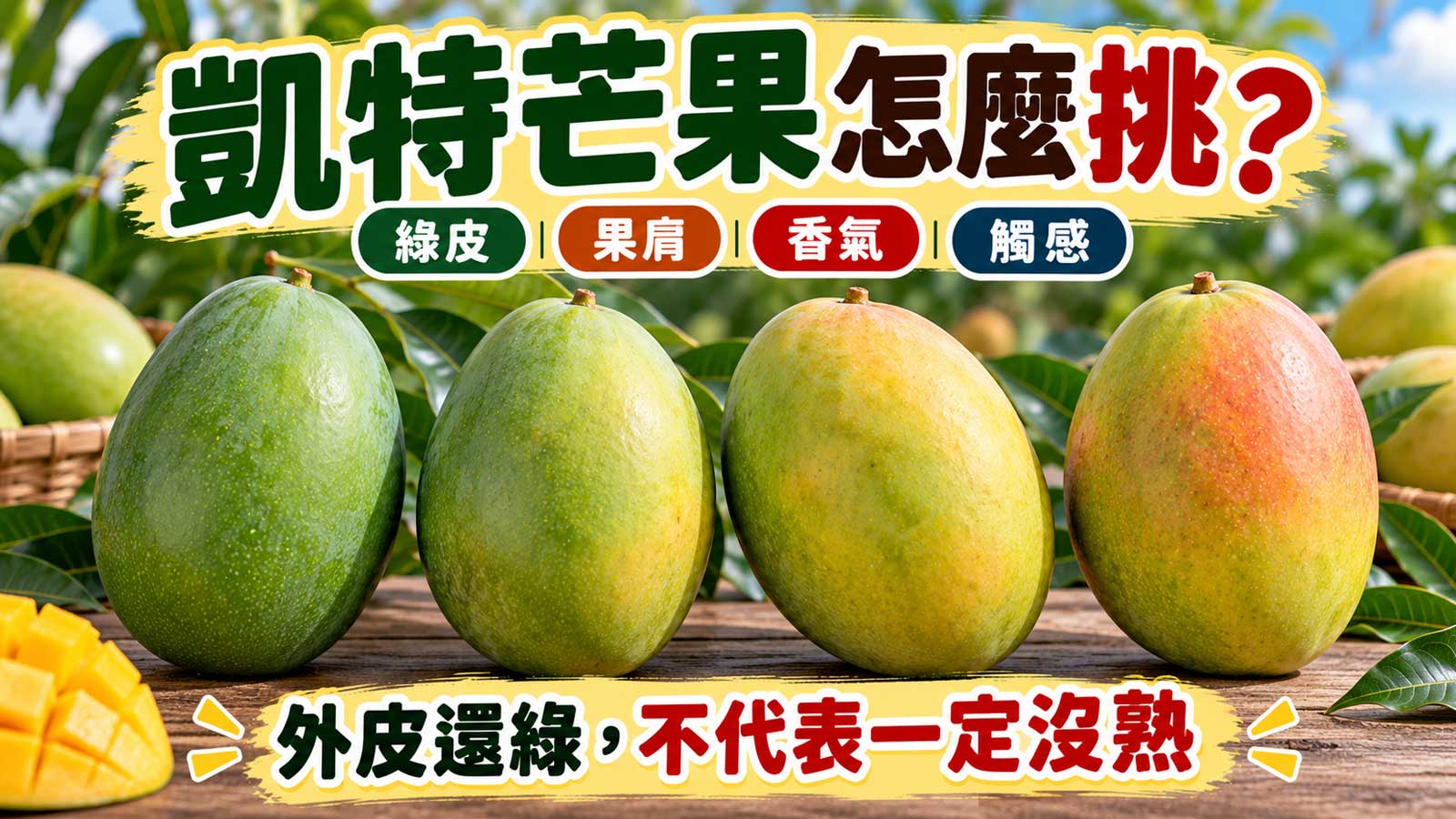 凱特芒果綠皮果肩香氣與觸感成熟判斷封面