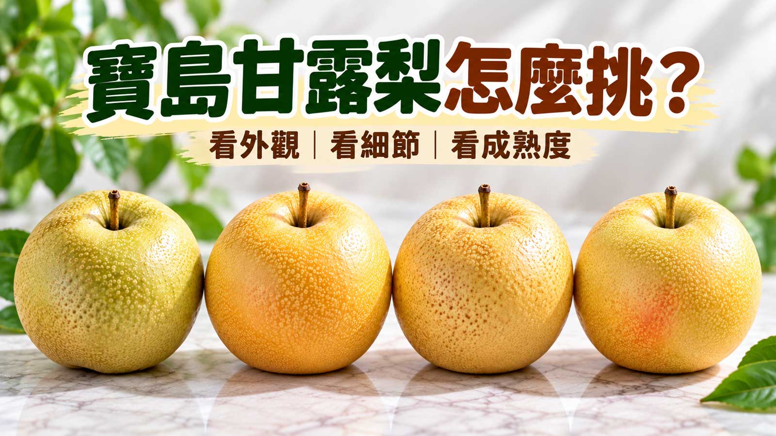 寶島甘露梨怎麼挑封面圖